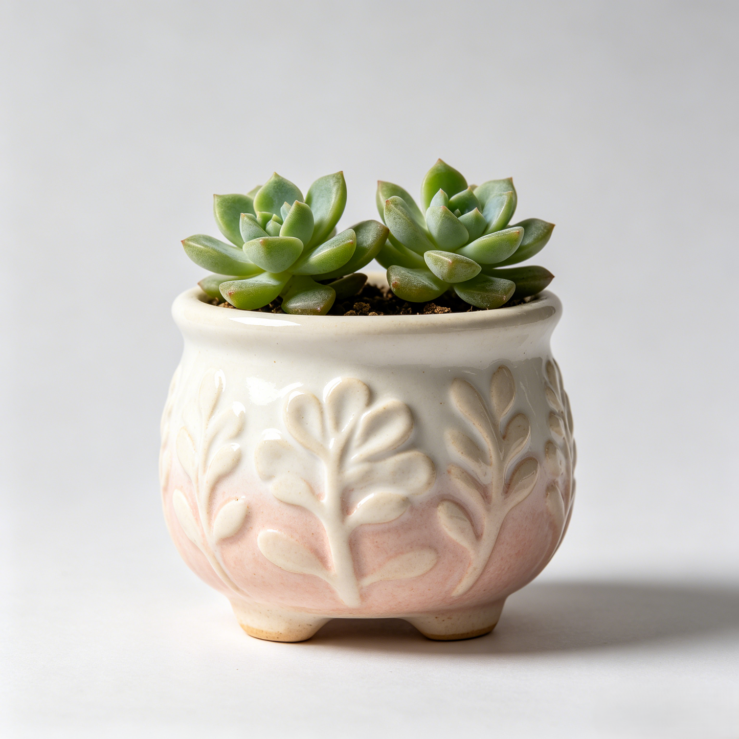 🌸 Blush Gradient Leaf Embossed Ceramic Succulent Pot