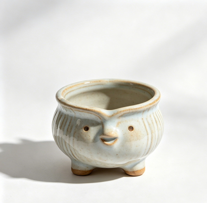 🐦 Cute Bird Ceramic Succulent Pot - Handmade Glazed Planter with Drainage Hole