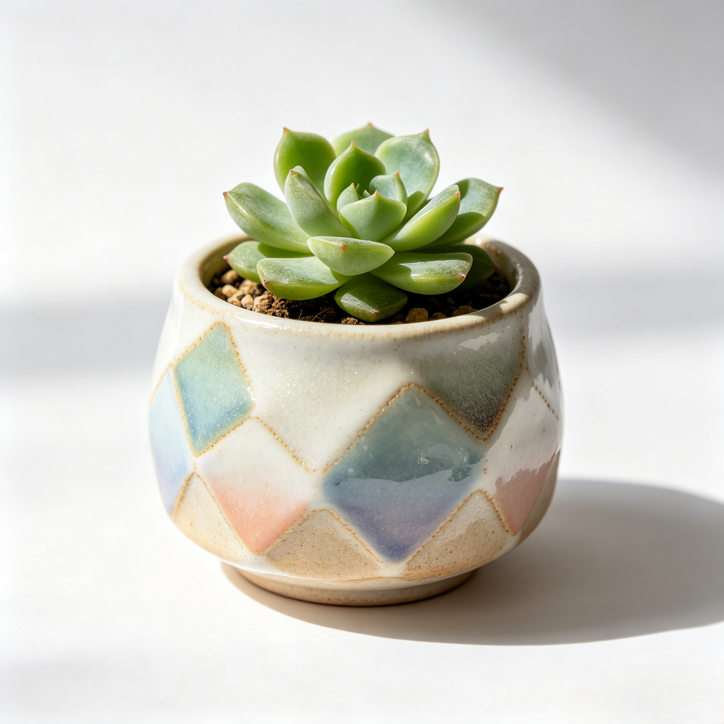 🔷 Pastel Argyle Ceramic Succulent Pot