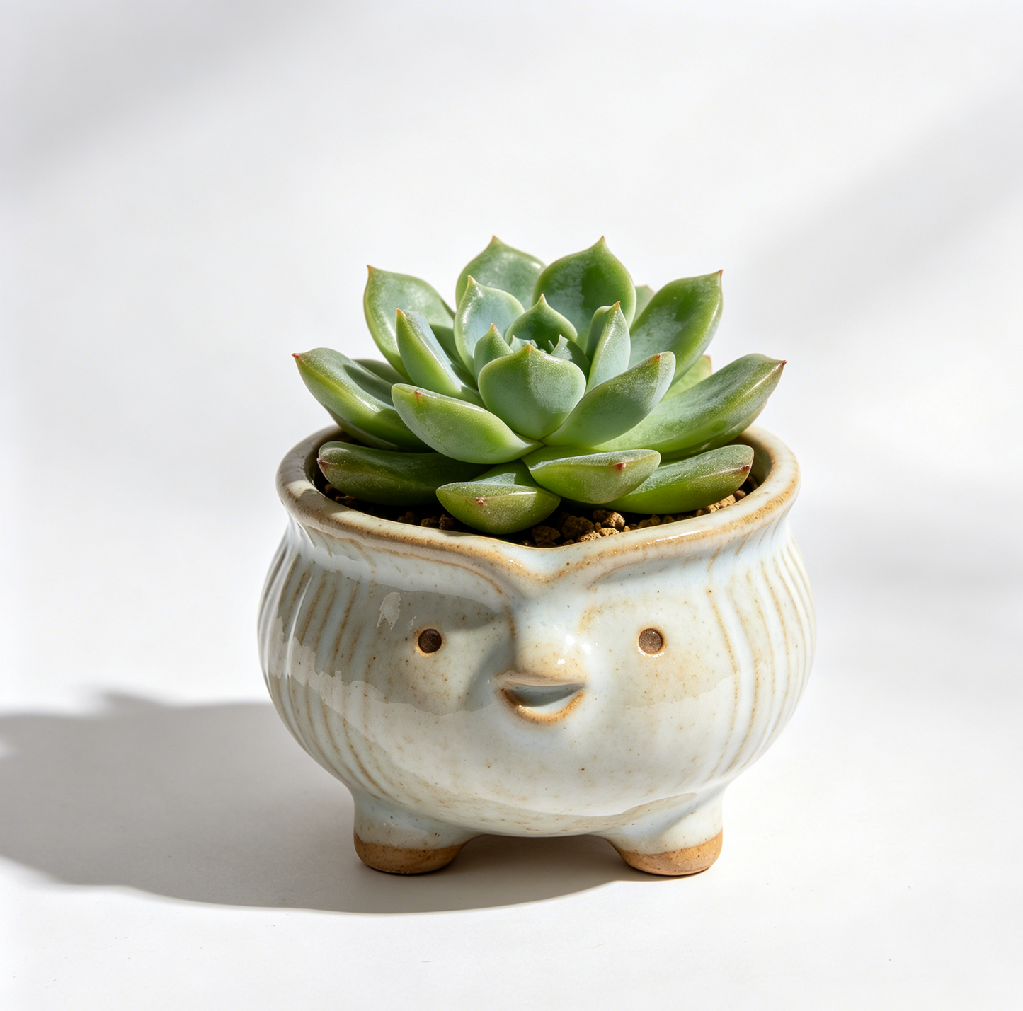 🐦 Cute Bird Ceramic Succulent Pot - Handmade Glazed Planter with Drainage Hole