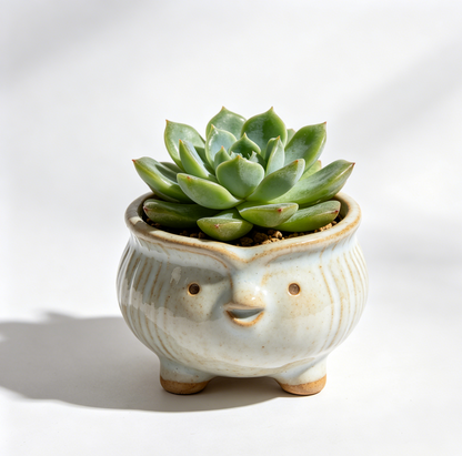 🐦 Cute Bird Ceramic Succulent Pot - Handmade Glazed Planter with Drainage Hole